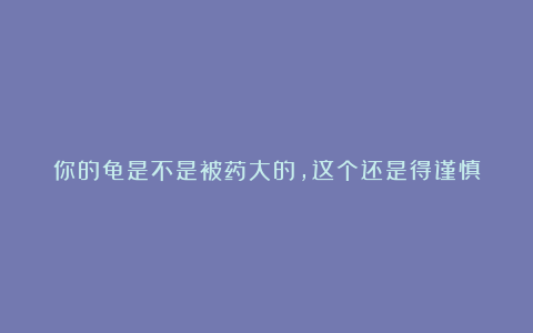 你的龟是不是被药大的，这个还是得谨慎