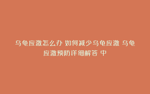 乌龟应激怎么办？如何减少乌龟应激？乌龟应激预防详细解答（中）