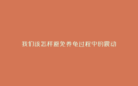 我们该怎样避免养龟过程中的震动？