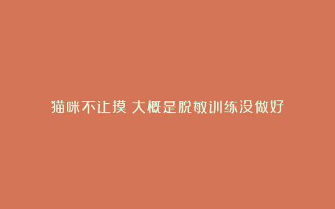 猫咪不让摸？大概是脱敏训练没做好！