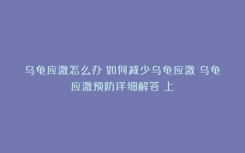 乌龟应激怎么办？如何减少乌龟应激？乌龟应激预防详细解答（上）