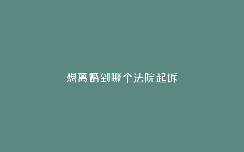 想离婚到哪个法院起诉