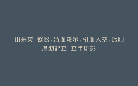 山茱萸 蜈蚣，活血走窜，引血入茎，振阳道助起立，立竿见影！