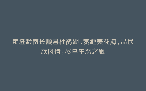 走进黔南长顺县杜鹃湖，赏绝美花海，品民族风情，尽享生态之旅！