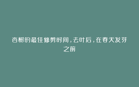 杏树的最佳修剪时间，去叶后，在春天发芽之前