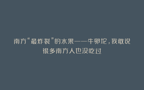 南方“最炸裂”的水果——牛卵坨，我敢说很多南方人也没吃过