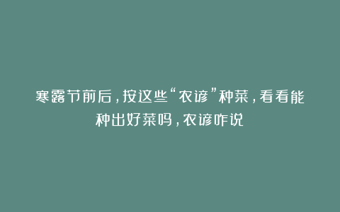 寒露节前后，按这些“农谚”种菜，看看能种出好菜吗，农谚咋说？