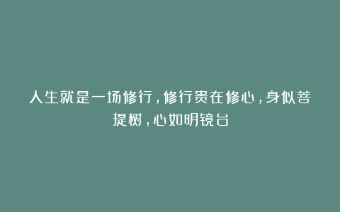 人生就是一场修行，修行贵在修心，身似菩提树，心如明镜台