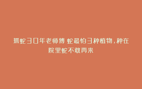 抓蛇30年老师傅：蛇最怕3种植物，种在院里蛇不敢再来！