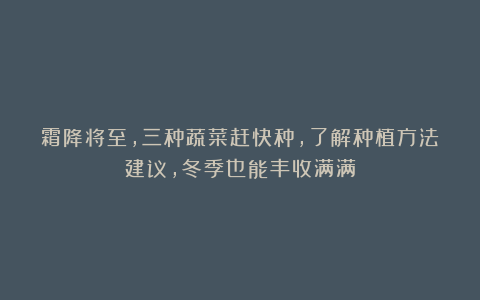 霜降将至，三种蔬菜赶快种，了解种植方法建议，冬季也能丰收满满