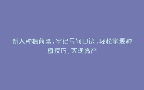 新人种植茼蒿，牢记5句口诀，轻松掌握种植技巧，实现高产