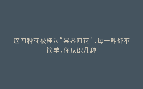 这四种花被称为“冥界四花”，每一种都不简单，你认识几种？