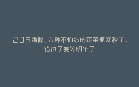 23日霜降，六种不怕冻的蔬菜抓紧种了，错过了要等明年了！