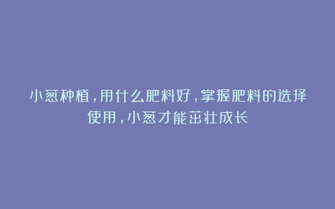 小葱种植，用什么肥料好，掌握肥料的选择使用，小葱才能茁壮成长