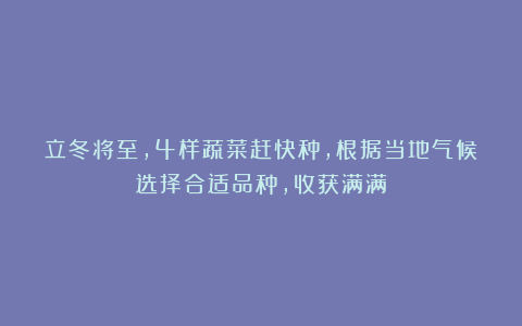 立冬将至，4样蔬菜赶快种，根据当地气候选择合适品种，收获满满