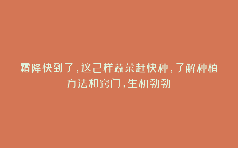 霜降快到了，这2样蔬菜赶快种，了解种植方法和窍门，生机勃勃！