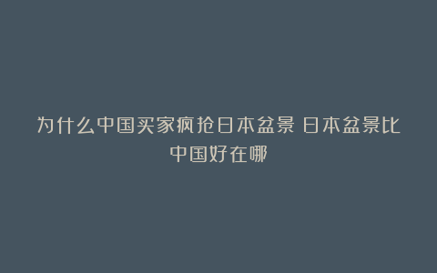 为什么中国买家疯抢日本盆景？日本盆景比中国好在哪？