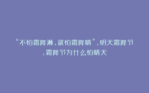 “不怕霜降淋，就怕霜降晴”，明天霜降节，霜降节为什么怕晴天？