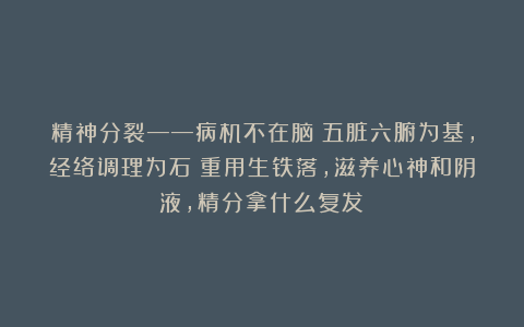 精神分裂——病机不在脑！五脏六腑为基，经络调理为石！重用生铁落，滋养心神和阴液，精分拿什么复发？