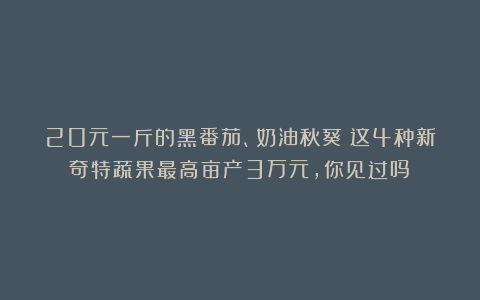 20元一斤的黑番茄、奶油秋葵～这4种新奇特蔬果最高亩产3万元，你见过吗？