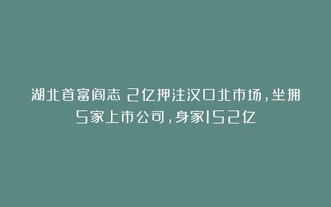 湖北首富阎志：2亿押注汉口北市场，坐拥5家上市公司，身家152亿