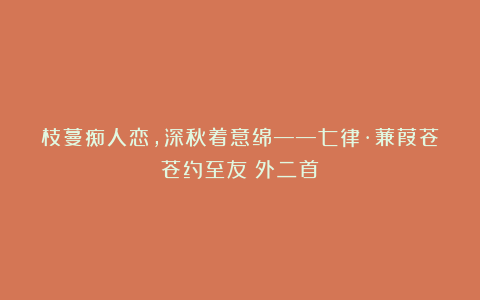 枝蔓痴人恋，深秋着意绵——七律·蒹葭苍苍约至友（外二首）