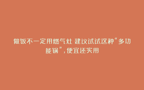 做饭不一定用燃气灶！建议试试这种“多功能锅”，便宜还实用