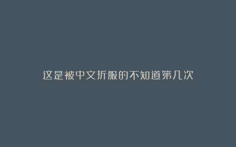 这是被中文折服的不知道第几次！