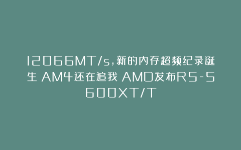 12066MT/s，新的内存超频纪录诞生！AM4还在追我！AMD发布R5-5600XT/T