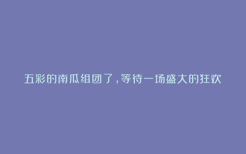 五彩的南瓜组团了，等待一场盛大的狂欢！