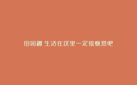 田园趣|生活在这里一定很惬意吧！