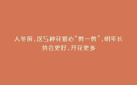 入冬前，这5种花狠心“剪一剪”，明年长势会更好，开花更多