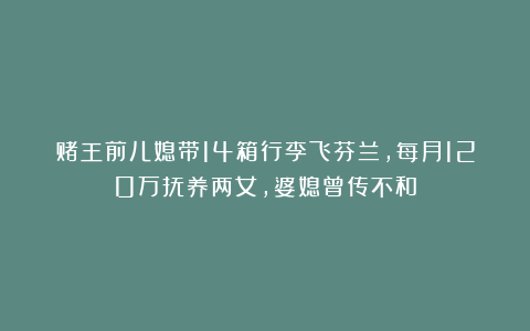 赌王前儿媳带14箱行李飞芬兰，每月120万抚养两女，婆媳曾传不和