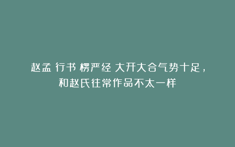 赵孟頫行书《楞严经》大开大合气势十足，和赵氏往常作品不太一样