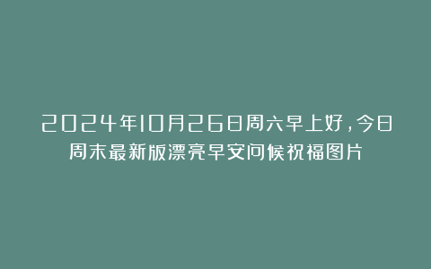 2024年10月26日周六早上好，今日周末最新版漂亮早安问候祝福图片