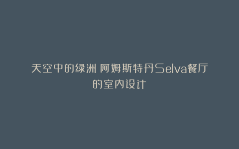 天空中的绿洲：阿姆斯特丹Selva餐厅的室内设计