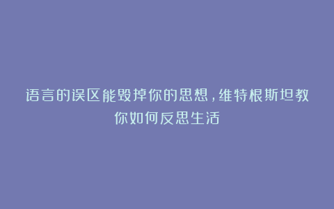 语言的误区能毁掉你的思想，维特根斯坦教你如何反思生活