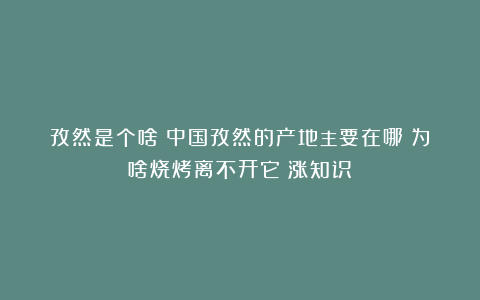 孜然是个啥？中国孜然的产地主要在哪？为啥烧烤离不开它？涨知识