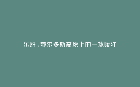 东胜，鄂尔多斯高原上的一抹暖红