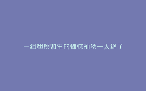 一组栩栩如生的蝴蝶袖绣—太绝了