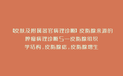 【皮肤及附属器官病理诊断】皮脂腺来源的肿瘤病理诊断5—皮脂腺组织学结构，皮脂腺痣，皮脂腺增生