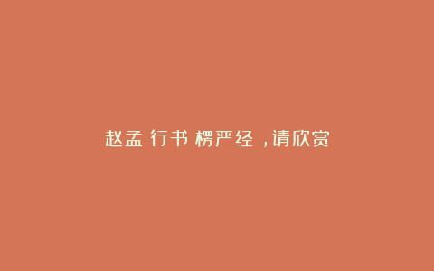 赵孟頫行书《楞严经》，请欣赏