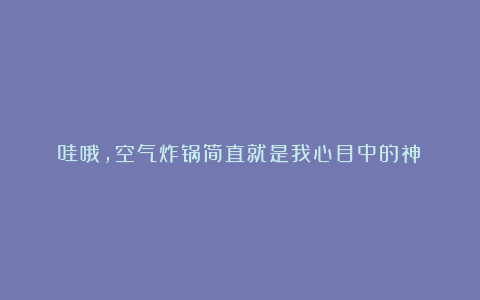 哇哦，空气炸锅简直就是我心目中的神！