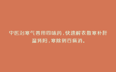 中医治寒气善用四味药，快速解表散寒补肝温肾阳，寒除则百病消。