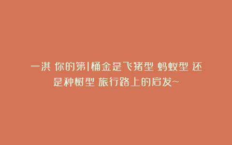 一淇丨你的第1桶金是飞猪型？蚂蚁型？还是种树型？旅行路上的启发~