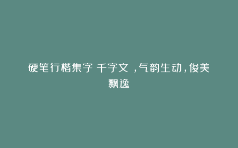 硬笔行楷集字《千字文》，气韵生动，俊美飘逸！