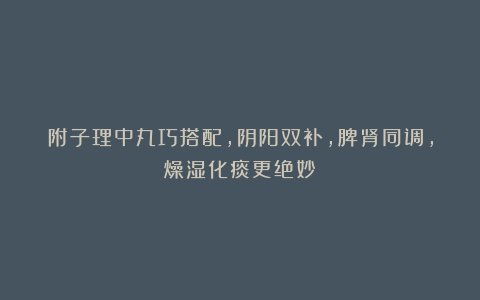 附子理中丸巧搭配，阴阳双补，脾肾同调，燥湿化痰更绝妙！