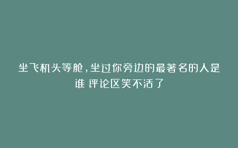 坐飞机头等舱，坐过你旁边的最著名的人是谁？评论区笑不活了