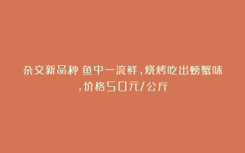 杂交新品种！鱼中一流鲜，烧烤吃出螃蟹味，价格50元/公斤