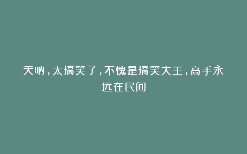 天呐，太搞笑了，不愧是搞笑大王，高手永远在民间